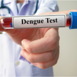 Virus Dengue: che cos’è, come si trasmette e quali rischi comporta